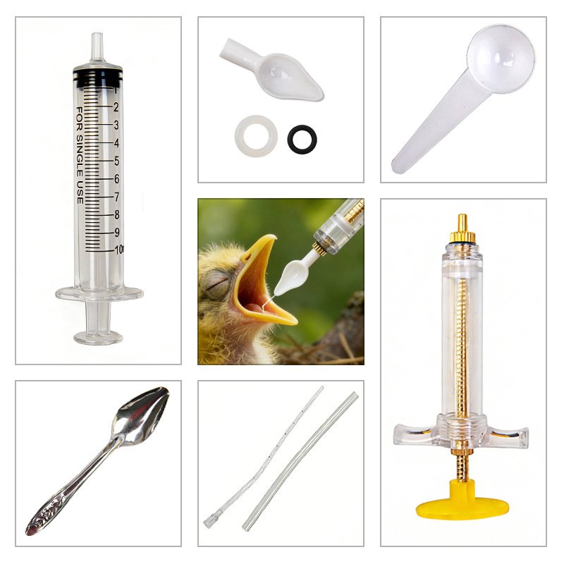 Food Grade Bird Feeder for Bab - đánh giá và giá Baby Food Youtube